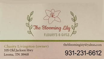 The Blooming Lily